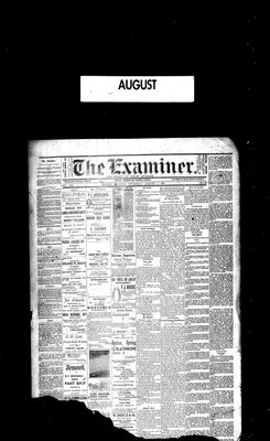 Barrie Examiner, 3 Aug 1882