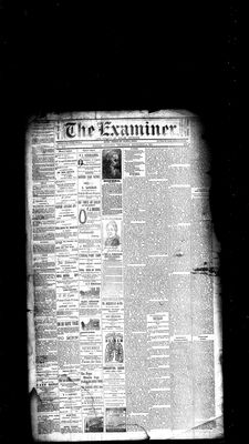 Barrie Examiner, 23 Nov 1882