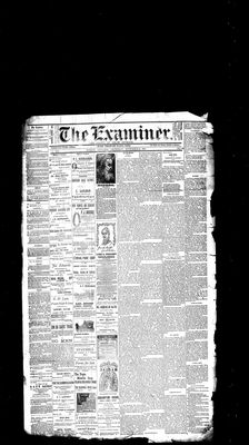 Barrie Examiner, 30 Nov 1882