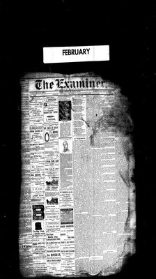 Barrie Examiner, 1 Feb 1883