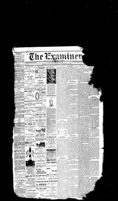 Barrie Examiner, 22 Feb 1883