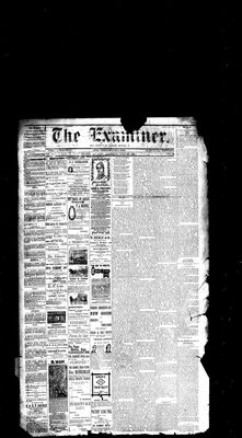 Barrie Examiner, 19 Jul 1883