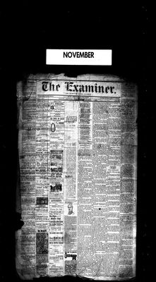 Barrie Examiner, 1 Nov 1883