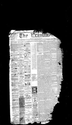 Barrie Examiner, 15 Nov 1883