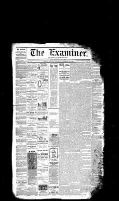 Barrie Examiner, 29 Nov 1883