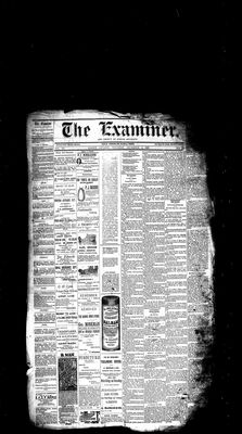 Barrie Examiner, 13 Dec 1883