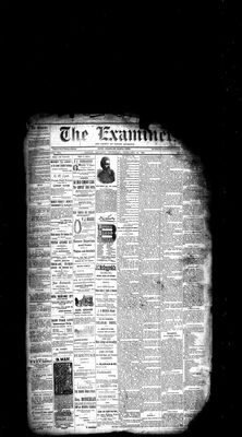 Barrie Examiner, 14 Feb 1884