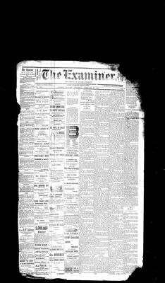 Barrie Examiner, 28 Feb 1884