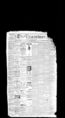 Barrie Examiner, 17 Apr 1884