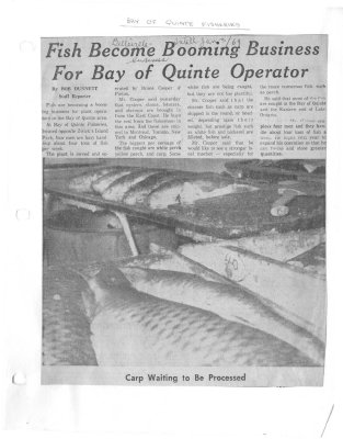 Fish become booming business for Bay of Quinte operator: Bay of Quinte Fisheries