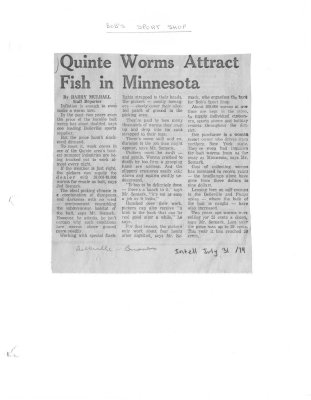 Quinte worms attract fish in Minnesota: Bob's sport shop