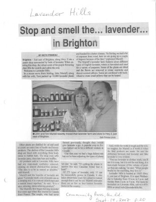 Stop and smell the ... lavender... in Brighton