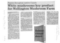 White mushrooms key product for Wellington Mushroom Farm