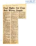 Cool Nights Cut Crop; Bait Worms Sought