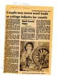 Couple may revive wool trade as cottage industry for county