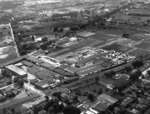Maple Avenue, aerial view, 1954