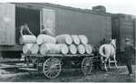 Barrels of apples being loaded into a refrigerated boxcar at Freeman Station, ca 1920