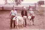 Gordon, Reg and Ella Sherwood with triplet calves, 1965