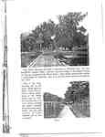 "Lake Shore Surveys" brochure, page 19, ca 1912