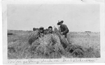 Art Brame and 2 co-workers with wheat stooks, Saskatchewan, 1923