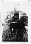 Art Brame atop a load of wheat sheaves, Manitoba, 1924
