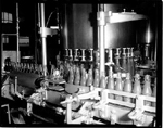 Bottling ketchup at Canadian Canners, 1954
