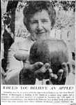 Muriel Hobson holding a Northern Spy apple 15 inches in circumference and weighing  2 3/4 lb., 1974