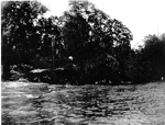 View from Lake Ontario of the shore of Rosehill Farm, 1912