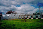 Aldershot Greenhouses, Gallagher Road, 1997