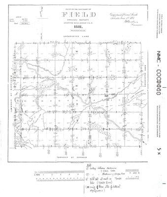 Plan du canton de Field / Plan of the Township of Field