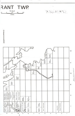 Carte du canton de Grant / Grant Township map