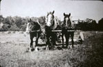 Horse Team in Orrville