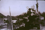 Load of Logs going to the Mill