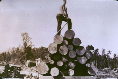 Man Standing on a Load of Logs