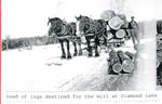 Load of logs for Diamond Lake