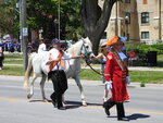 "King Billy" ahead of horse