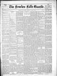 Fenelon Falls Gazette, 29 Jan 1881