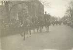 Horses Armistice Day Parade