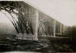 Bloor Street Viaduct 1919