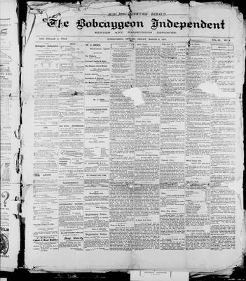 Bobcaygeon Independent (1870), 8 Mar 1901