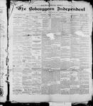 Bobcaygeon Independent (1870), 8 Mar 1901