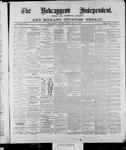 Bobcaygeon Independent (1870), 12 Jul 1895