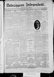 Bobcaygeon Independent (1870), 22 Oct 1915