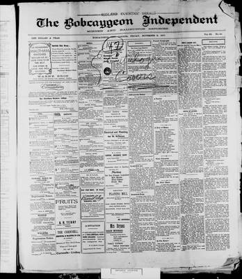 Bobcaygeon Independent (1870), 8 Nov 1907