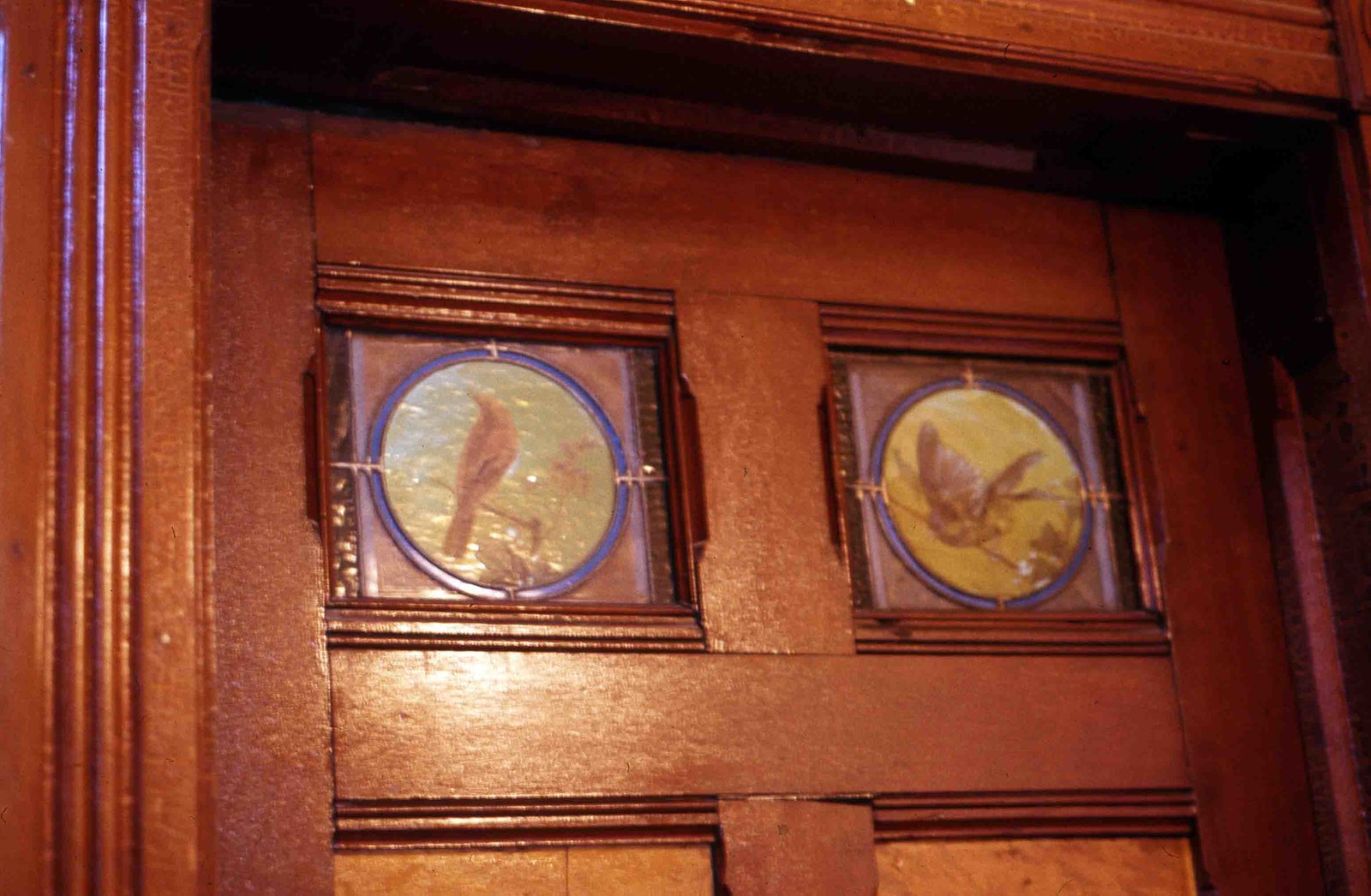 Painted birds inset on door, Sylvester house, Lindsay