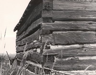 Plate 3, Log cabin, Emily Township