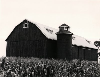 Plate 29, Lip Vault Frame Barn with Wooden Silo, Mariposa Township