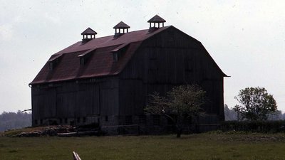 Plate 30, "McQuarrie" Barn, Built 1915, Eldon Township