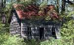 Abandoned house, unknown location