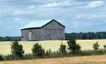 Barn, location unknown